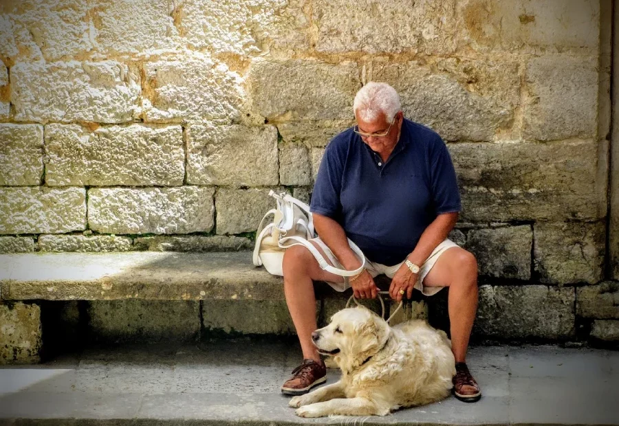 Senior mit Hund auf einer Bank