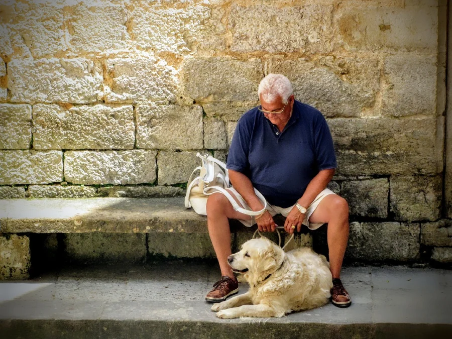 Senior mit Hund auf einer Bank